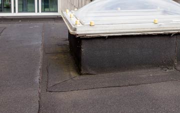 disadvantages of Odell flat roofs