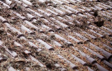 Odell roof cleaning companies